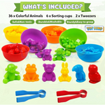 Engaging baby development toys to support early learning skills