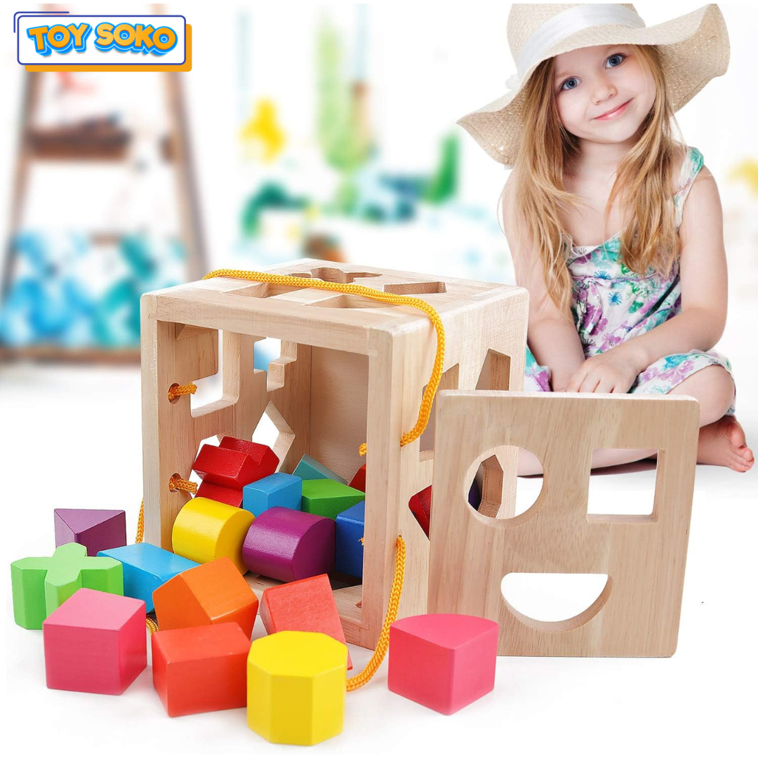 ontessori Puzzle Box for toddlers, designed for shape recognition and problem-solving with geometric shape blocks